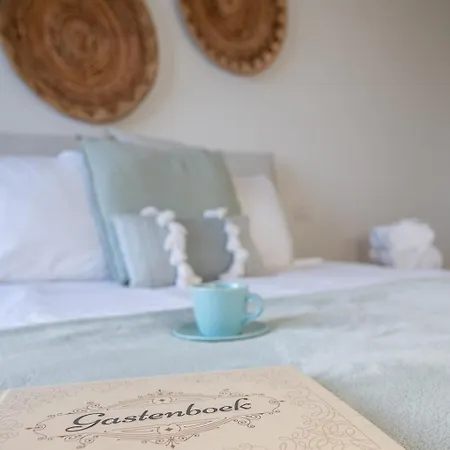 Apartment 7 Op De Zeedijk In Voor Max 6 Personen