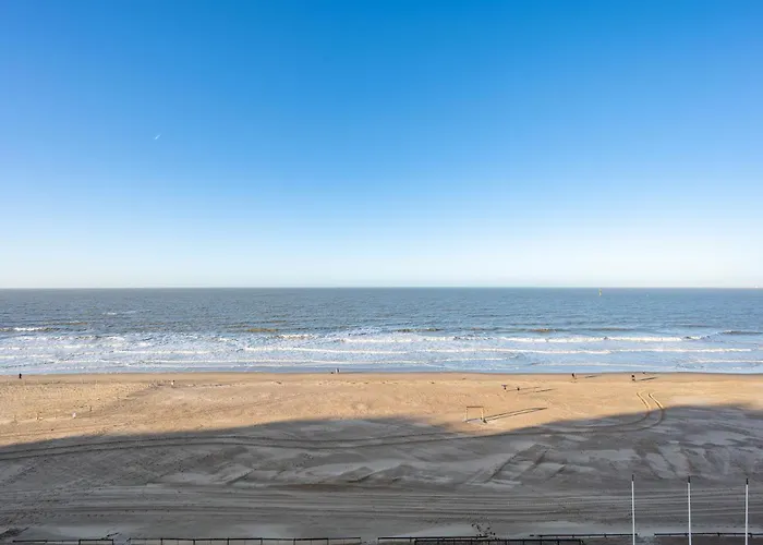 7 Op De Zeedijk In Voor Max 6 Personen